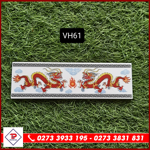 Gạch Viền 6x20